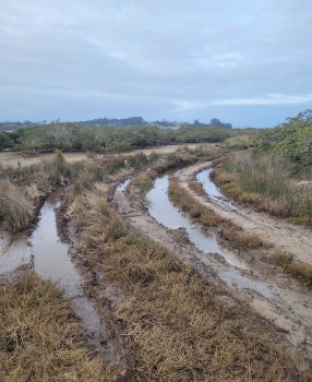 thumbnail Damaged wetland-539